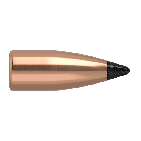 Nosler Varmageddon FB .20 32gr 250/Box