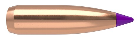 Nosler Ballistic Tip Varmint 6mm 80gr 100/Box - bild 4 av 4