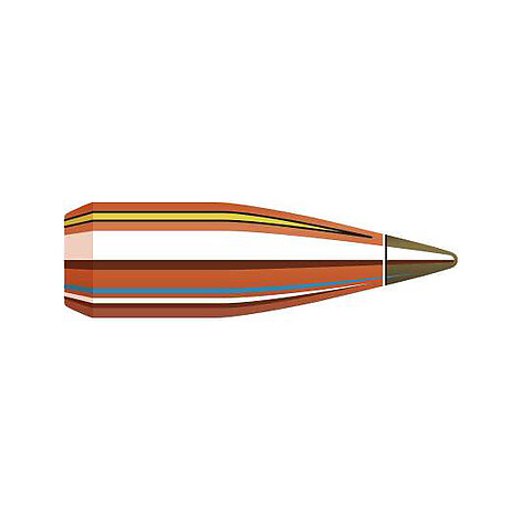 Hornady NTX 20 CAL .204 24gr 100/Box