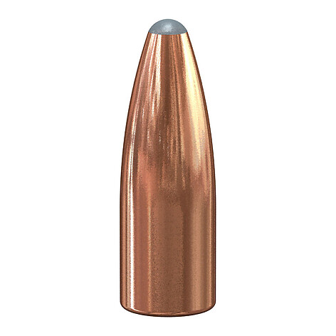 Speer Varmint JSP .224 Caliber 55gr 100/Box